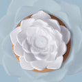 Lotus Flower
